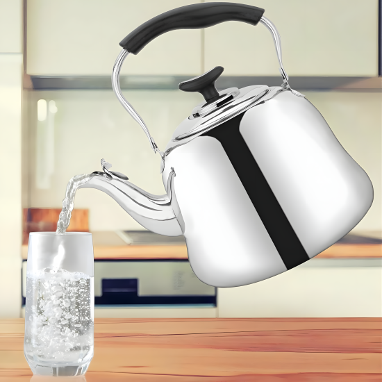 Stainless Steel Tea Kettle – 2 L
